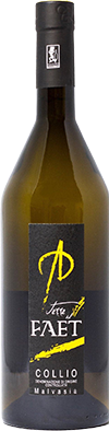 Malvasia