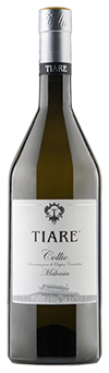 Malvasia