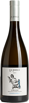 Chardonnay