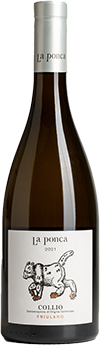 Friulano