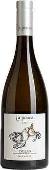 Malvasia