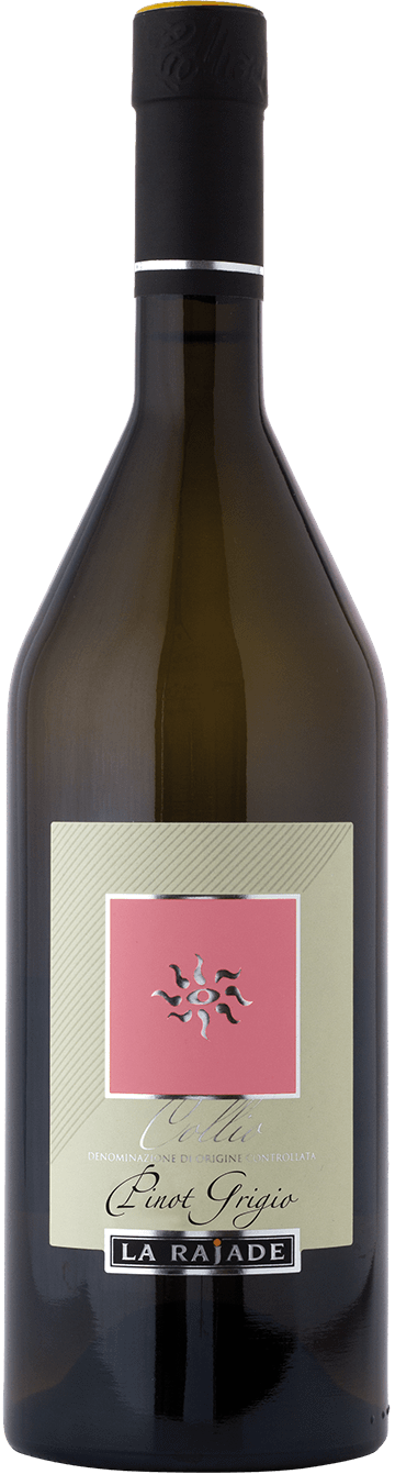 Pinot Grigio