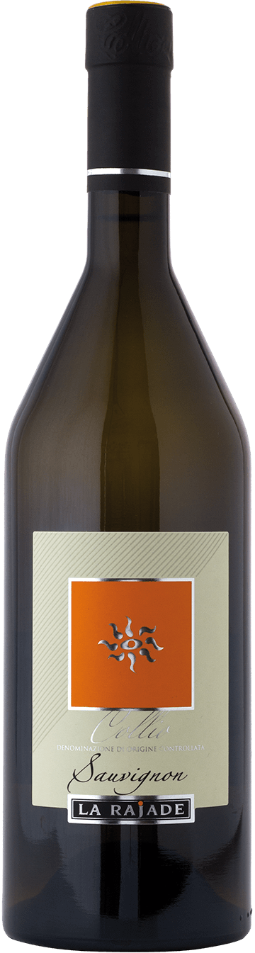 Sauvignon