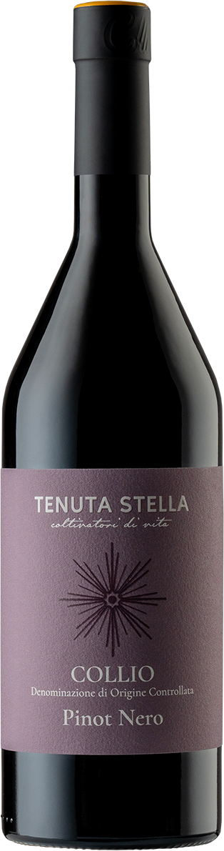 Pinot Nero